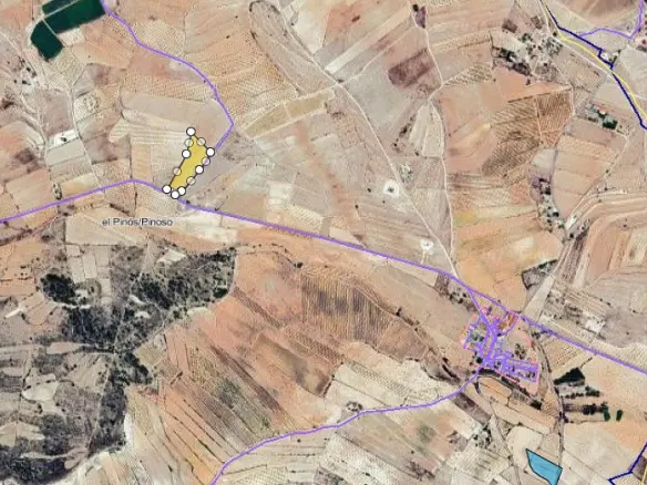 Land In Pinoso, Spain (13.836 M² Plot)