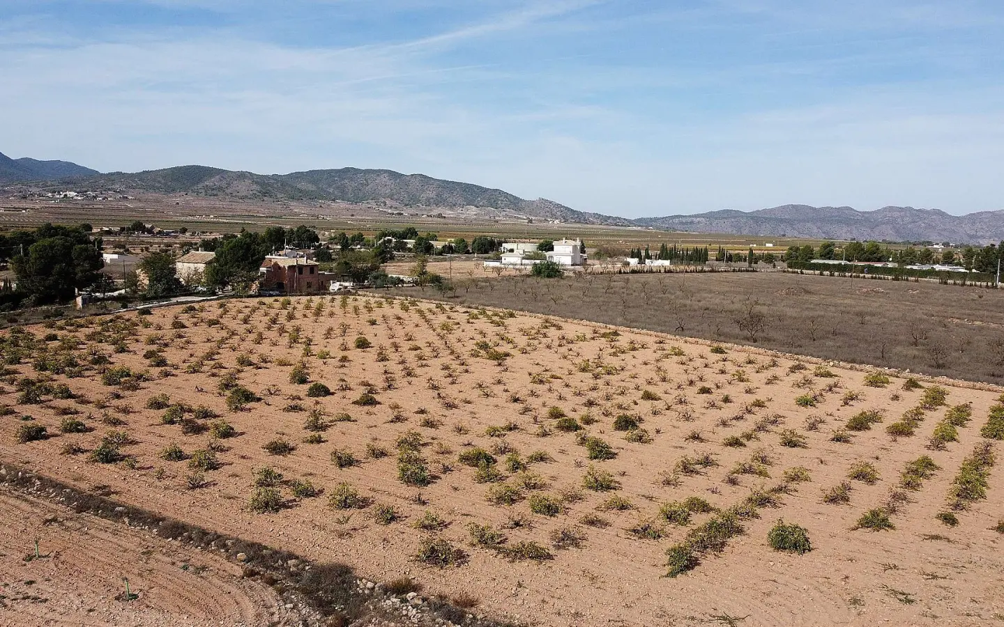 Land In Pinoso, Spain (10.000 M² Plot)