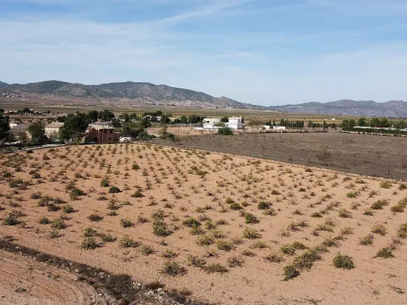 Land In Pinoso, Spain (10.000 M² Plot)