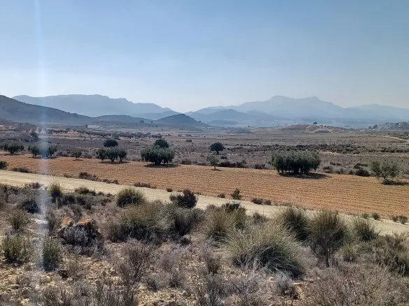 Land In Pinoso, Spain (27.000 M² Plot)
