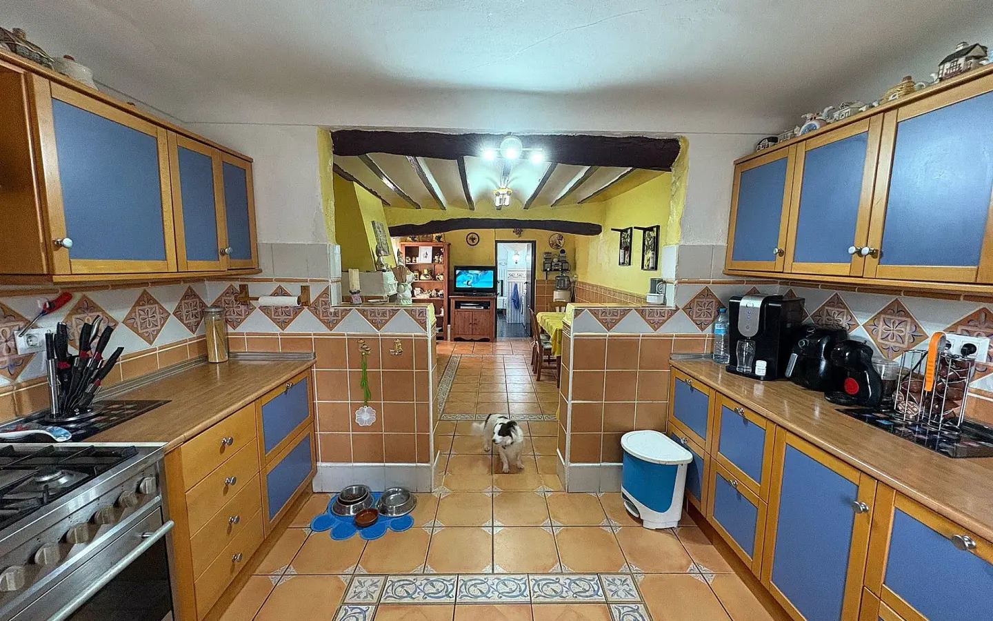 7-bedroom Country House In Cañada Del Trigo, Spain (400 M²)