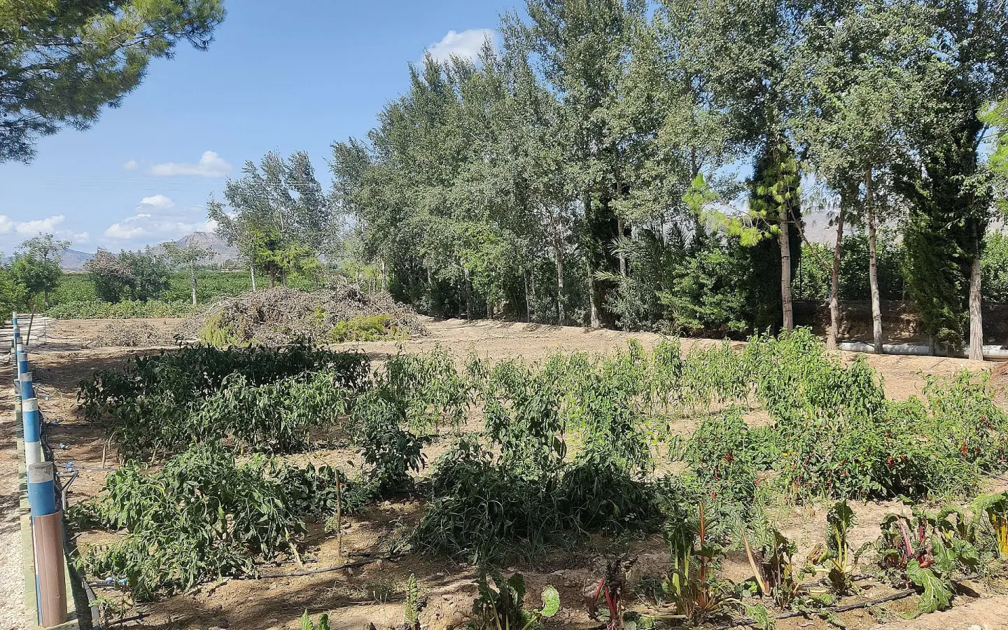 3-bedroom Country House In Crevillente, Spain (250 M²)
