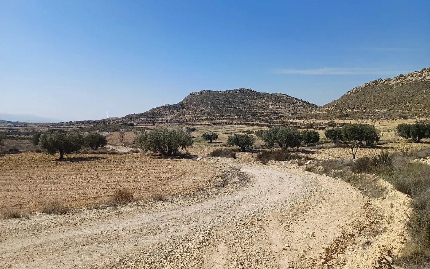 Land In Pinoso, Spain (27.000 M² Plot)