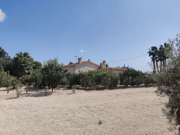 3-bedroom Detached Villa In Crevillente, Spain (250 M²)