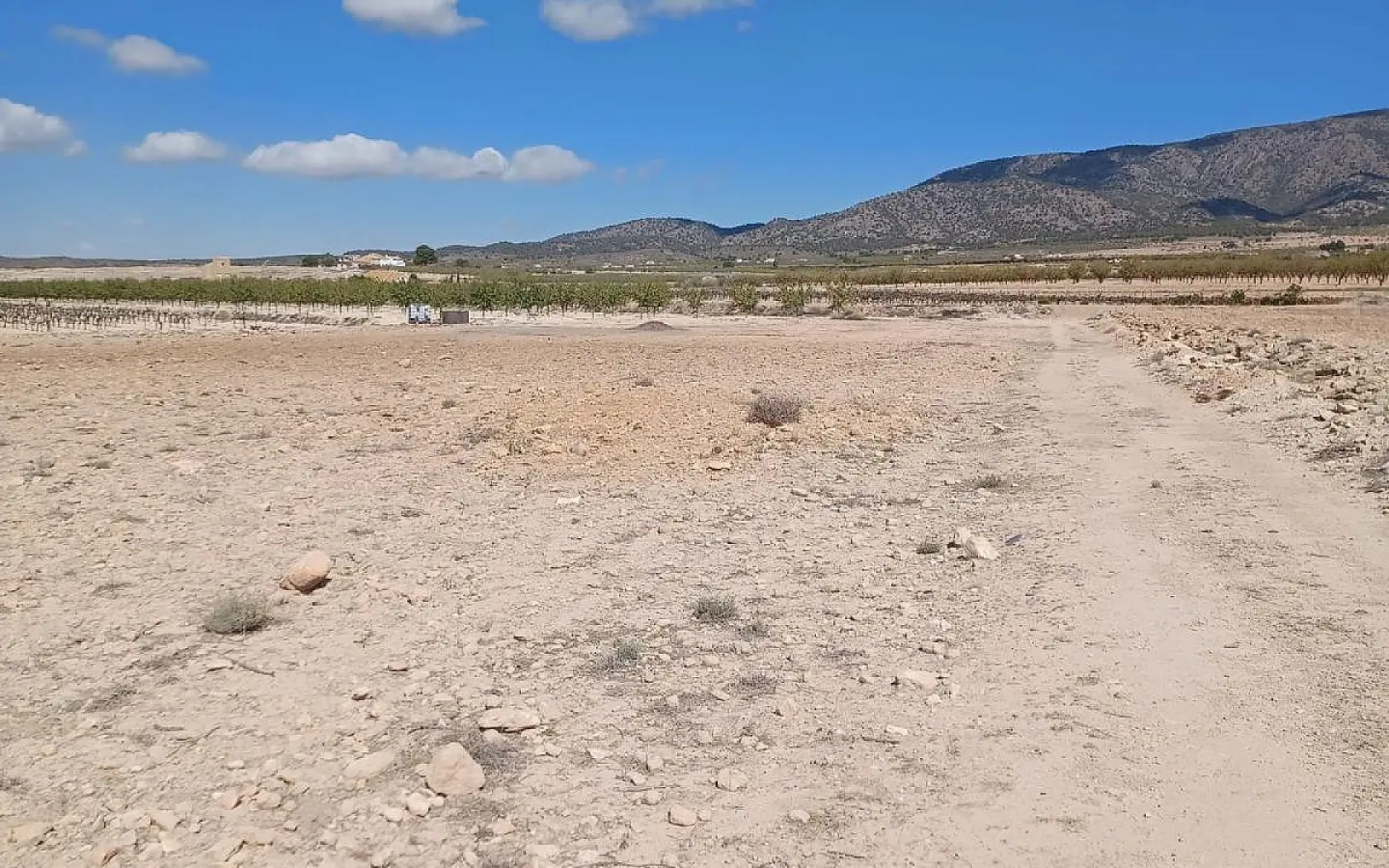 Land In Pinoso, Spain (13.836 M² Plot)