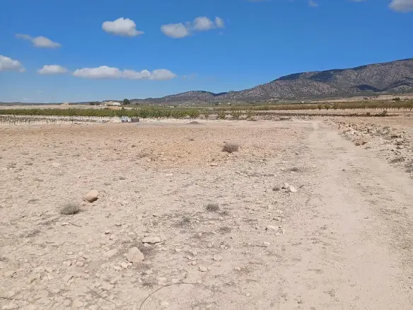 Land In Pinoso, Spain (13.836 M² Plot)