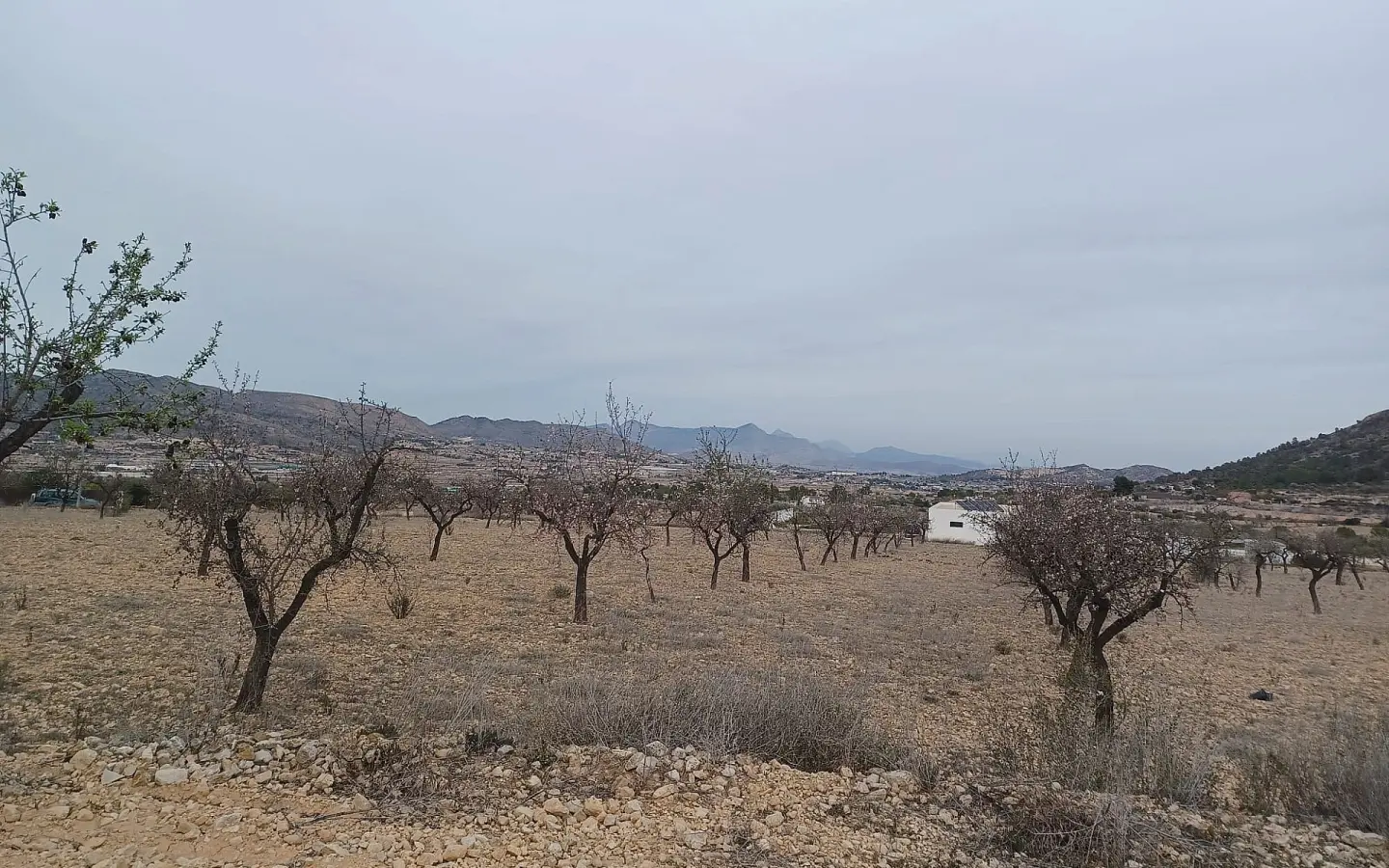 Land In La Romana, Spain (7.530 M² Plot)