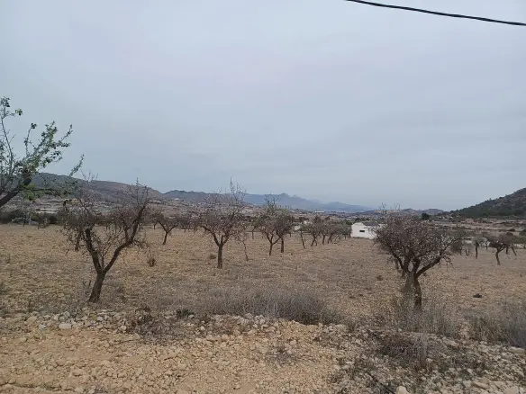 Land In La Romana, Spain (7.530 M² Plot)