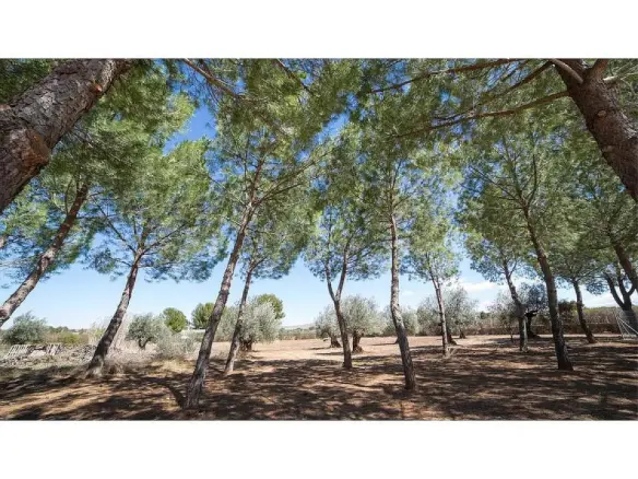 6-bedroom Detached Villa In Yecla, Spain (714 M²)