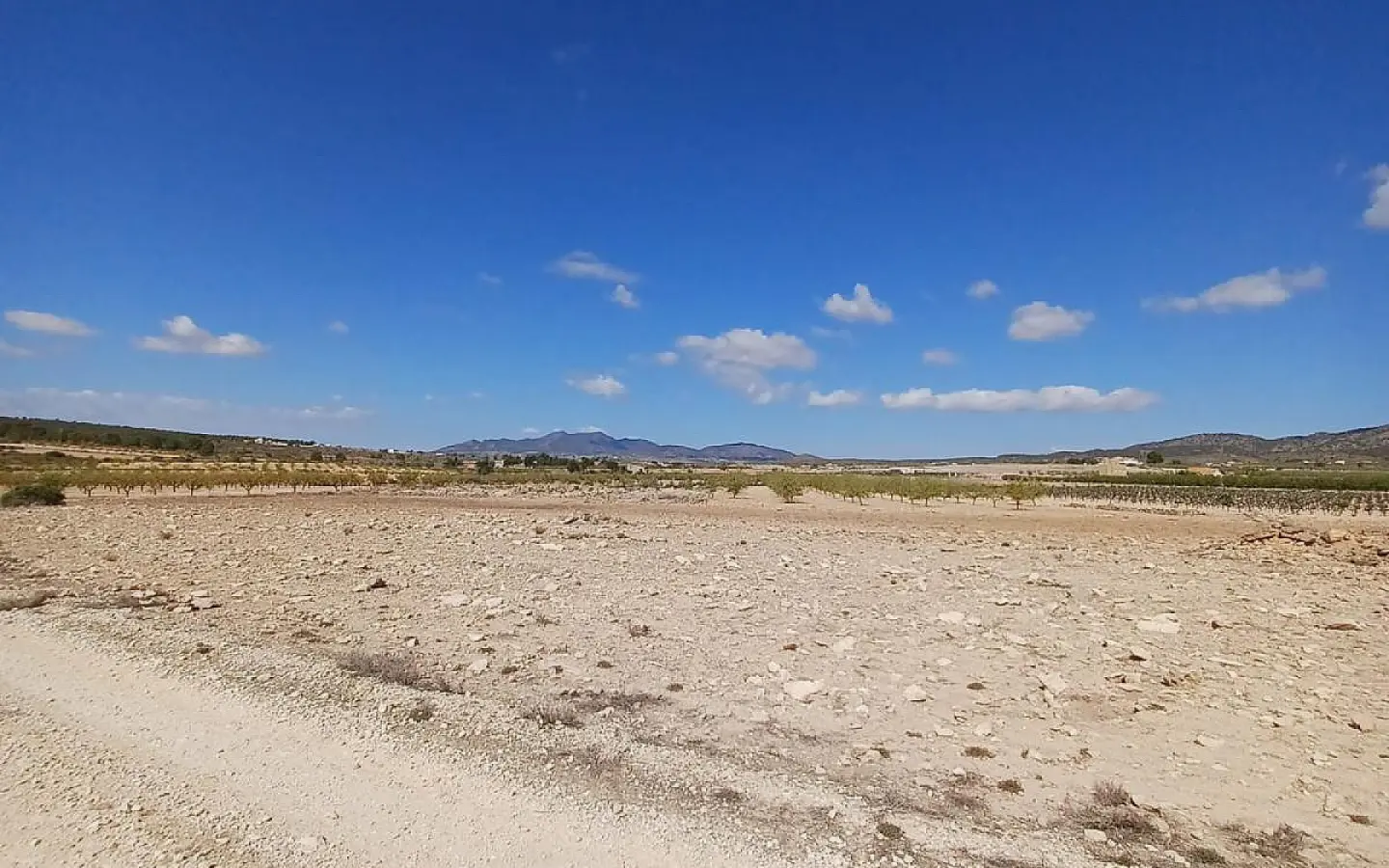 Land In Pinoso, Spain (13.836 M² Plot)