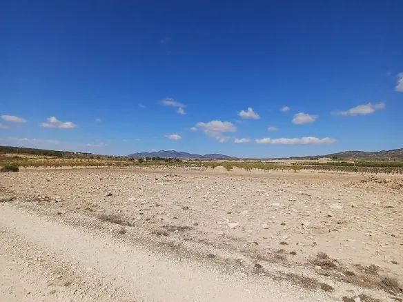 Land In Pinoso, Spain (13.836 M² Plot)
