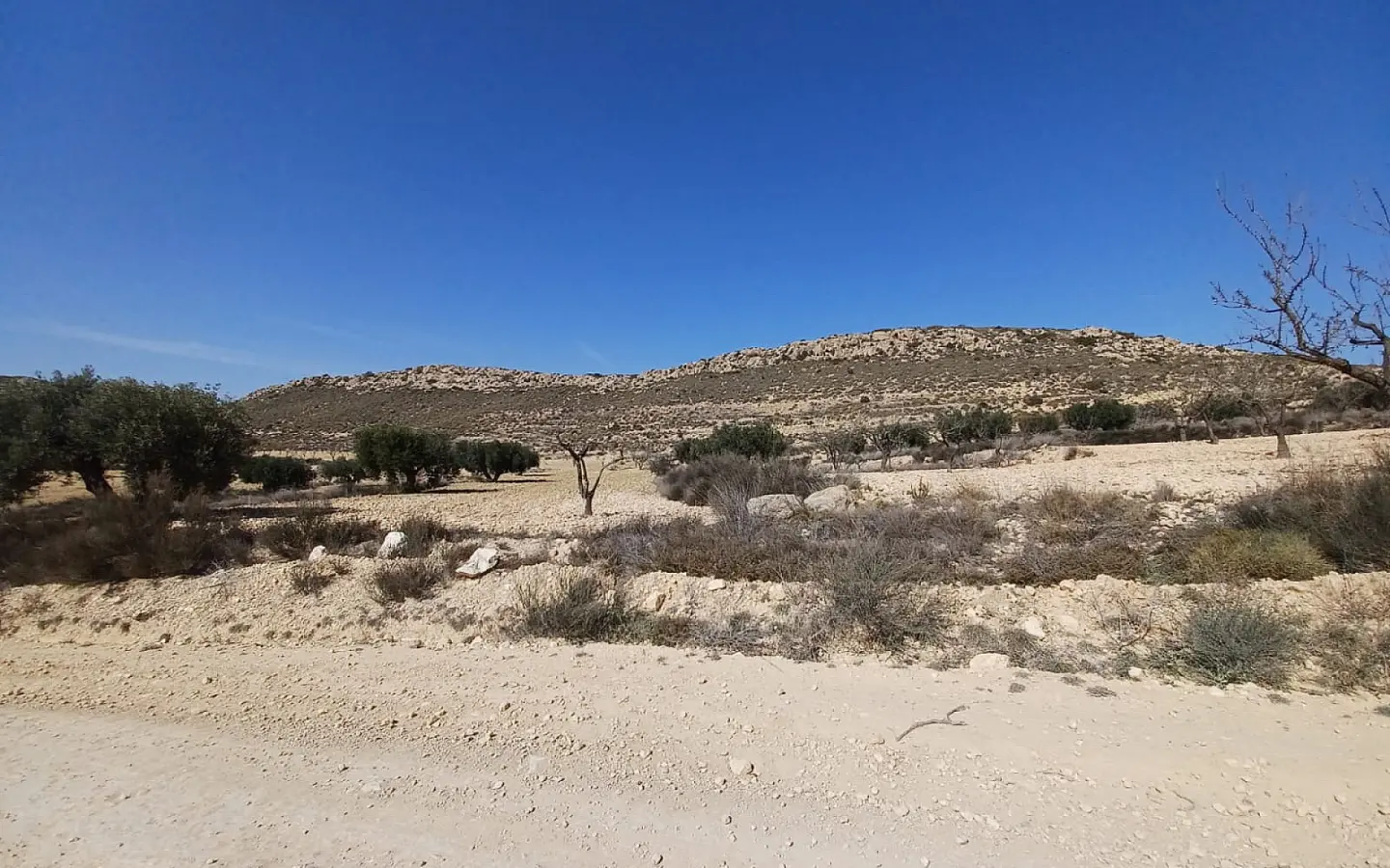 Land In Pinoso, Spain (27.000 M² Plot)