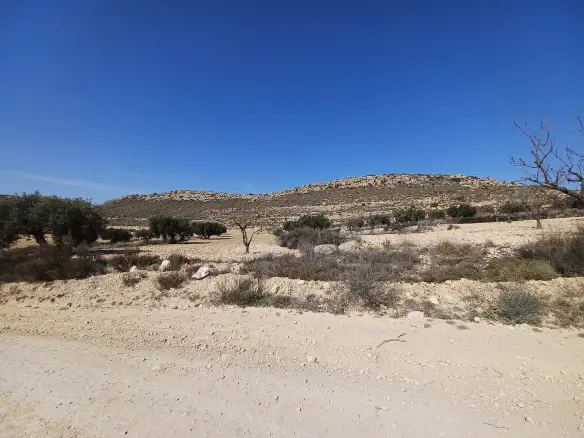 Land In Pinoso, Spain (27.000 M² Plot)