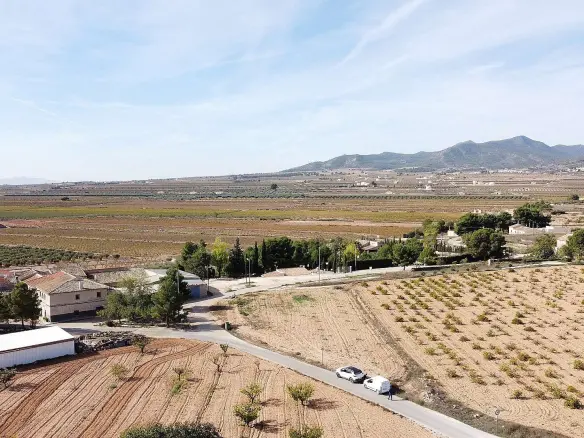 Land In Pinoso, Spain (10.000 M² Plot)