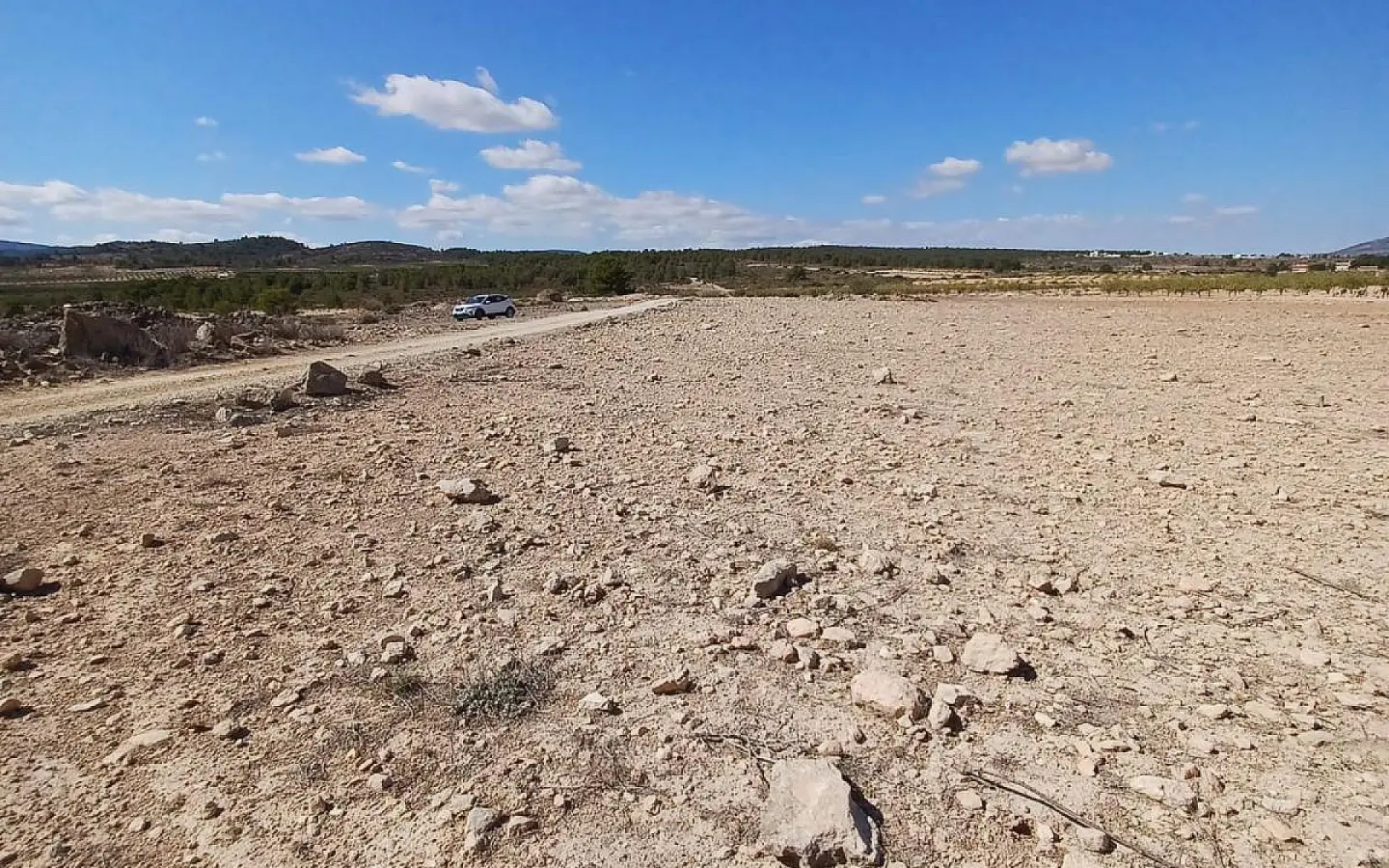 Land In Pinoso, Spain (13.836 M² Plot)
