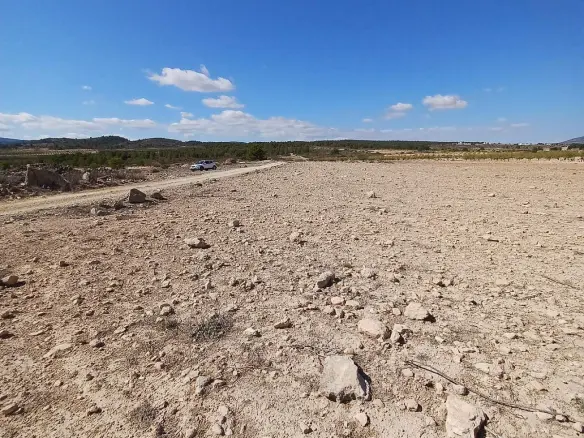 Land In Pinoso, Spain (13.836 M² Plot)