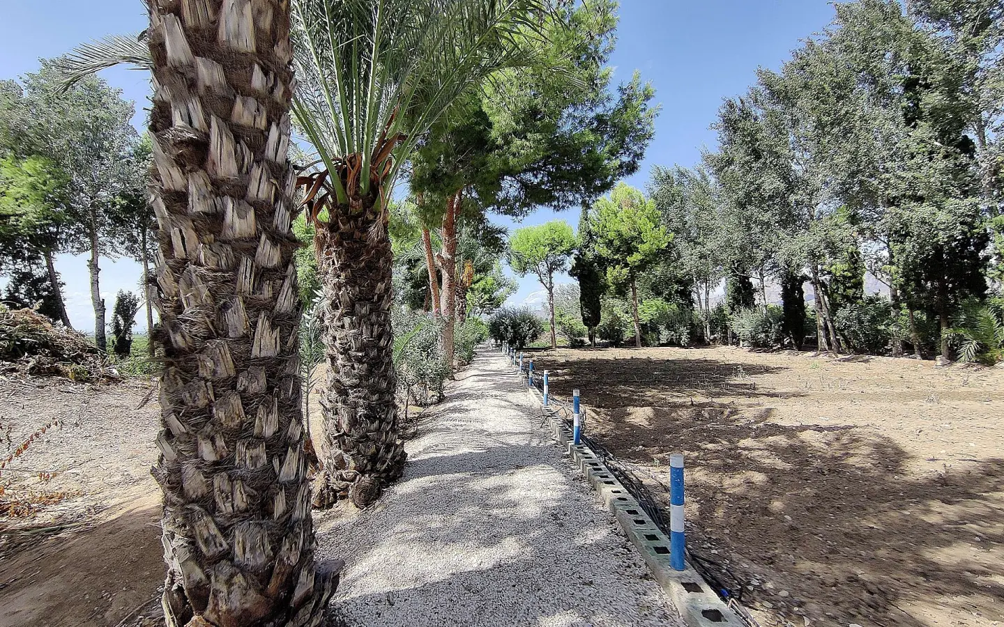 3-bedroom Country House In Crevillente, Spain (250 M²)