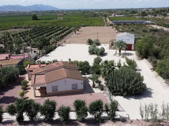 3-bedroom Detached Villa In Crevillente, Spain (250 M²)