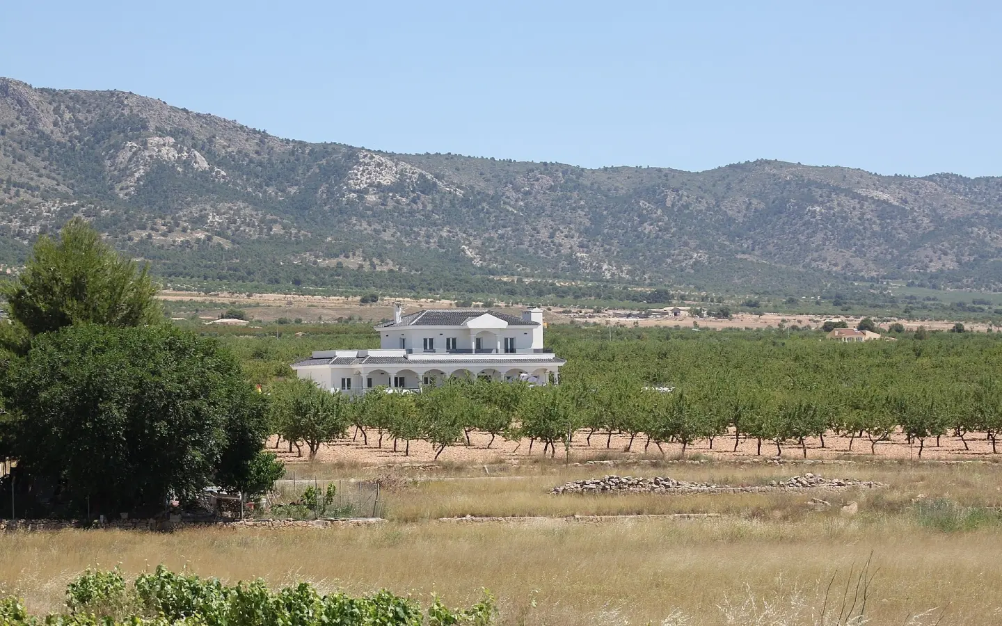 6-bedroom Detached Villa In Pinoso, Spain (245 M²)