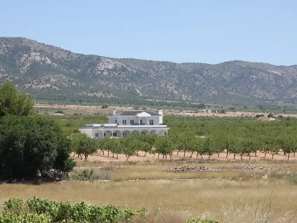 6-bedroom Detached Villa In Pinoso, Spain (245 M²)