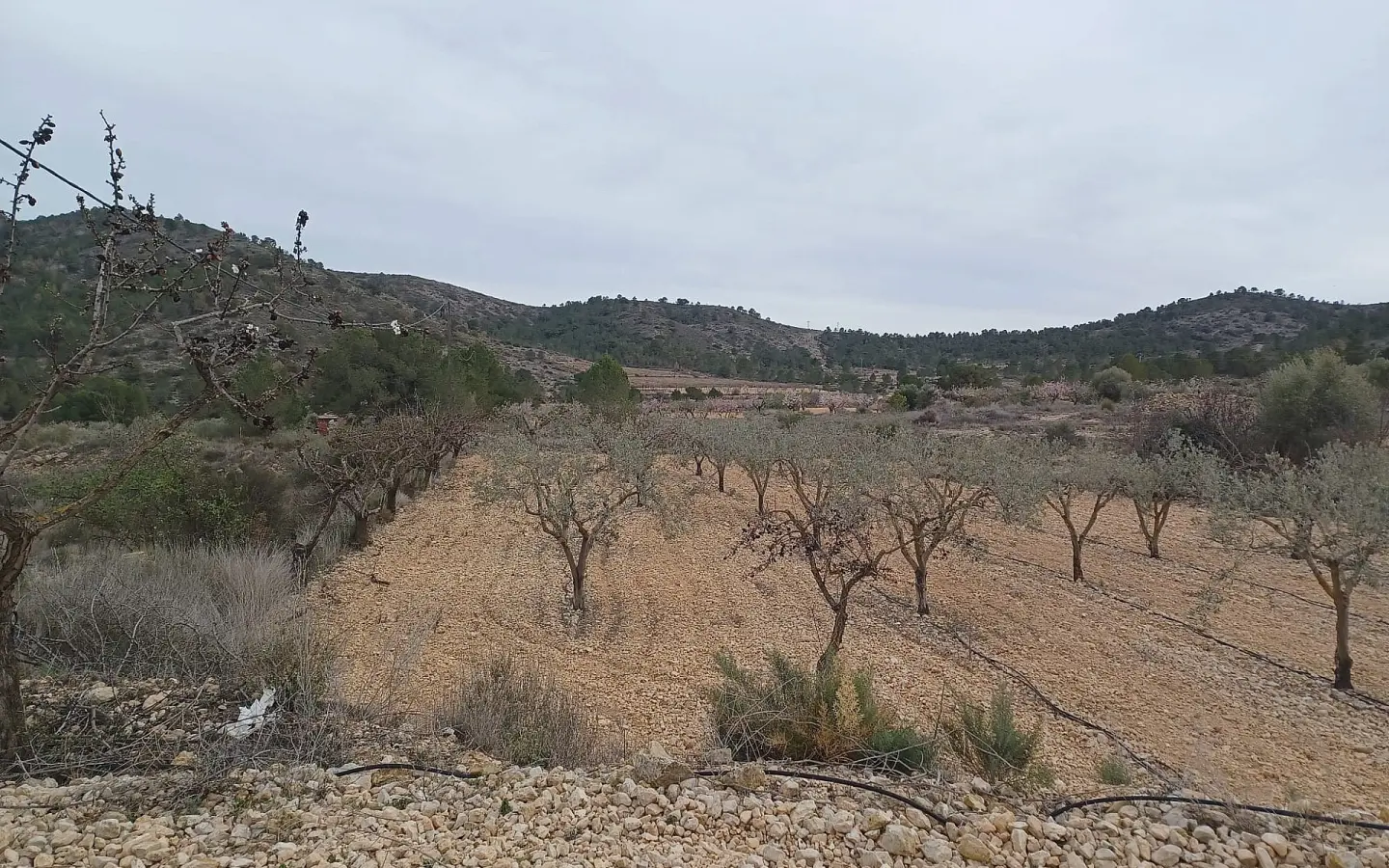Land In La Romana, Spain (7.530 M² Plot)