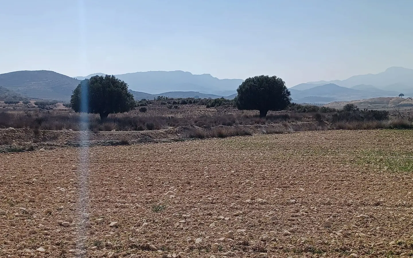 Land In Pinoso, Spain (27.000 M² Plot)