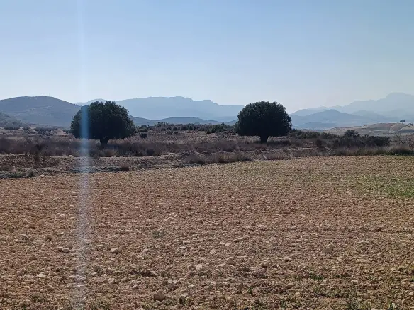 Land In Pinoso, Spain (27.000 M² Plot)
