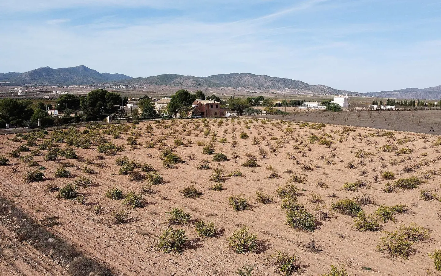 Land In Pinoso, Spain (10.000 M² Plot)