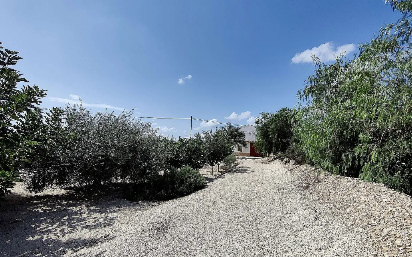3-bedroom Detached Villa In Crevillente, Spain (250 M²)