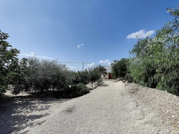 3-bedroom Detached Villa In Crevillente, Spain (250 M²)