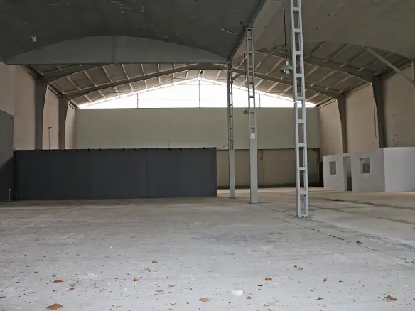 Commercial In Pinoso, Spain (1.960 M²)