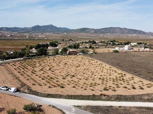 Land In Pinoso, Spain (10.000 M² Plot)
