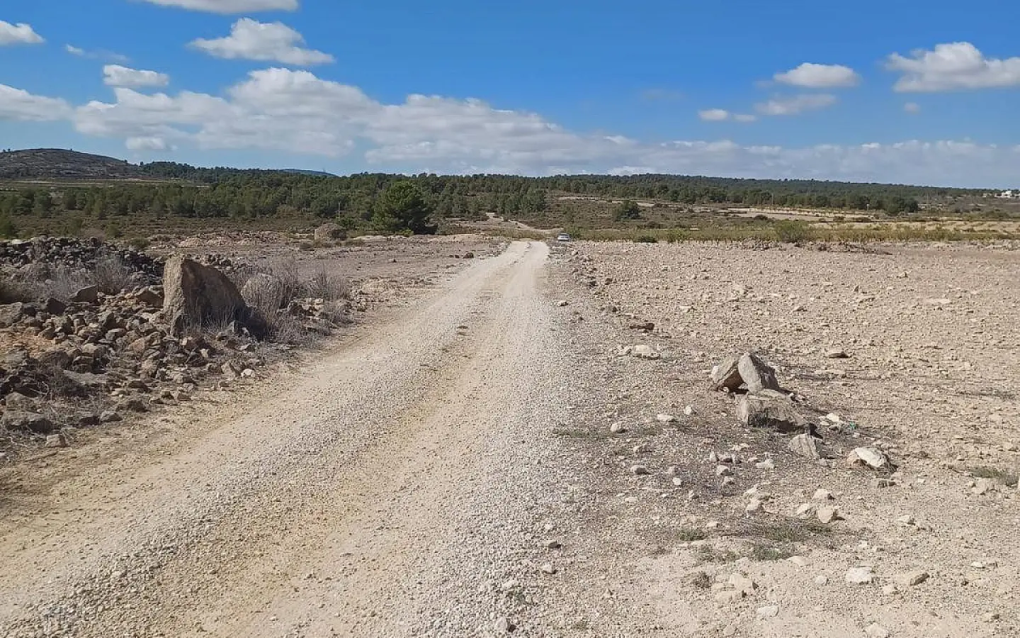 Land In Pinoso, Spain (13.836 M² Plot)