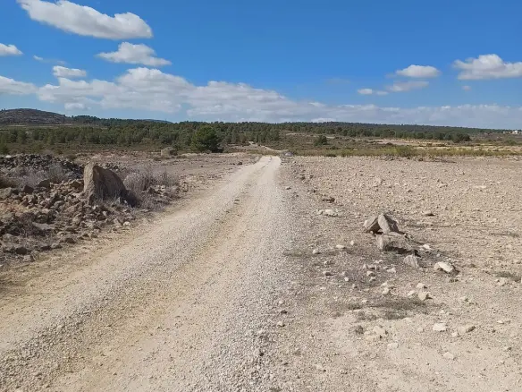 Land In Pinoso, Spain (13.836 M² Plot)