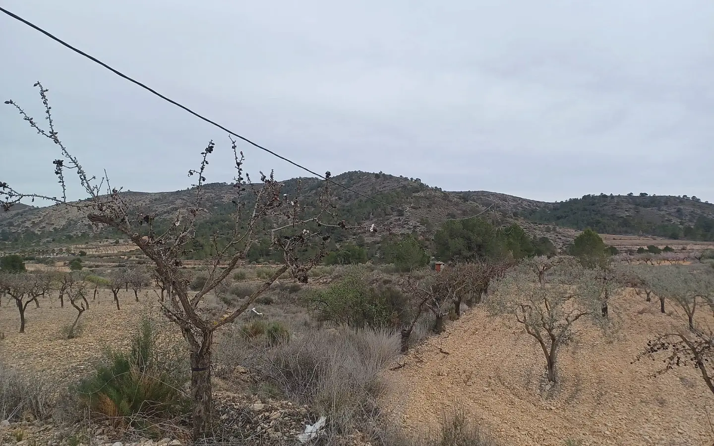 Land In La Romana, Spain (7.530 M² Plot)