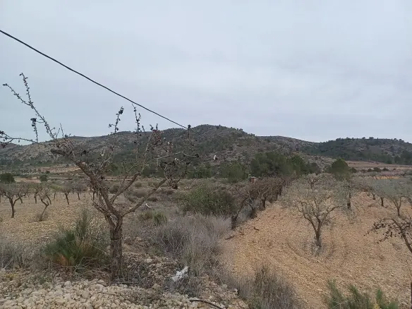 Land In La Romana, Spain (7.530 M² Plot)