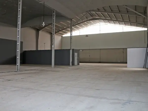 Commercial In Pinoso, Spain (1.960 M²)