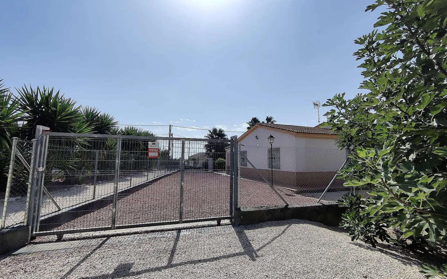 3-bedroom Detached Villa In Crevillente, Spain (250 M²)