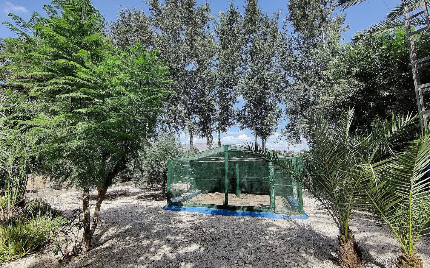 3-bedroom Country House In Crevillente, Spain (250 M²)