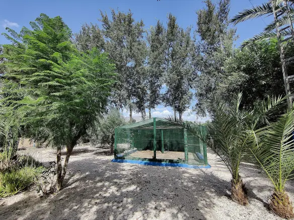 3-bedroom Country House In Crevillente, Spain (250 M²)