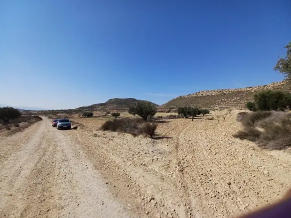 Land In Pinoso, Spain (27.000 M² Plot)