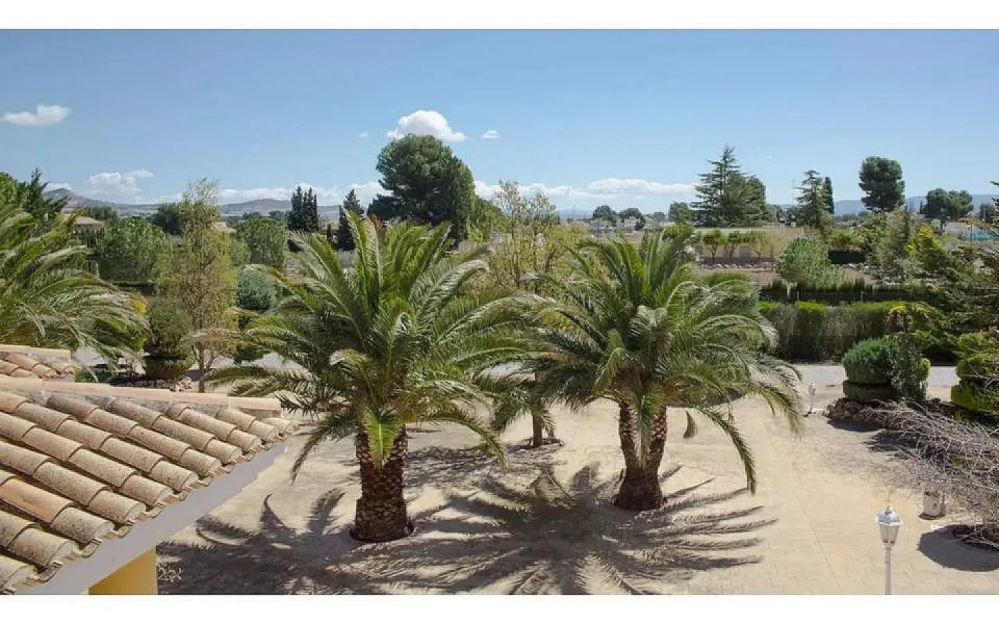 6-bedroom Detached Villa In Yecla, Spain (714 M²)