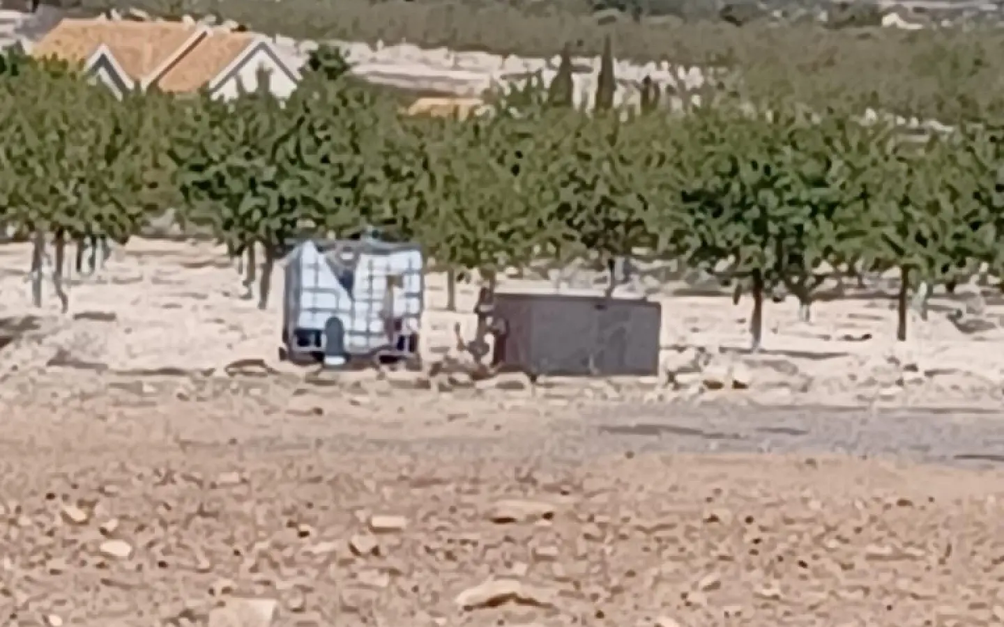 Land In Pinoso, Spain (13.836 M² Plot)