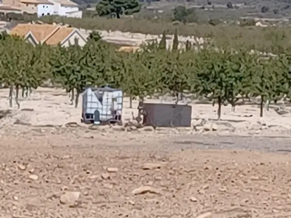 Land In Pinoso, Spain (13.836 M² Plot)