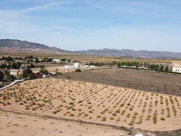 Land In Pinoso, Spain (10.000 M² Plot)