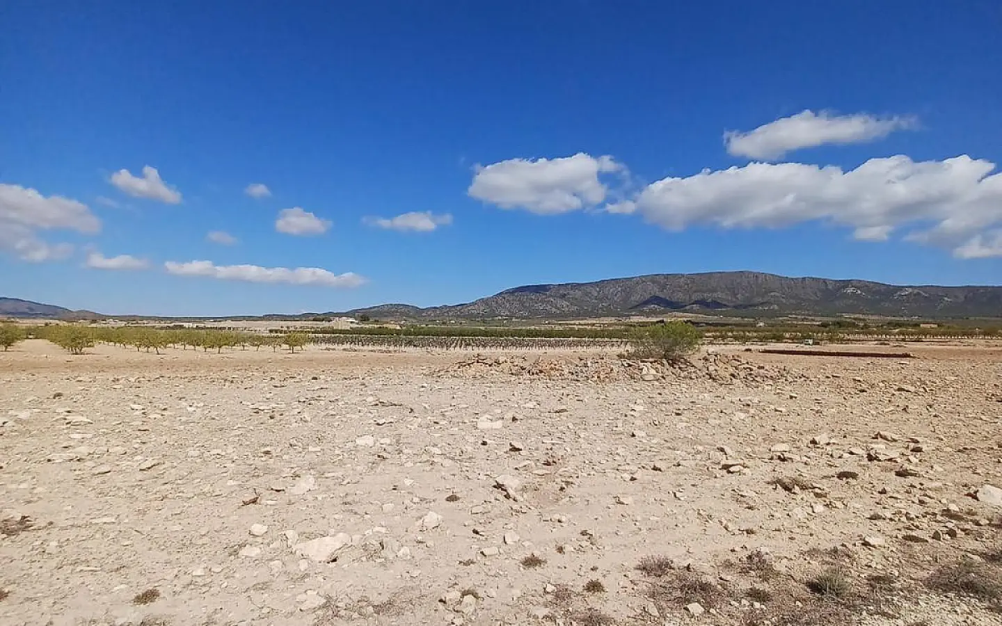 Land In Pinoso, Spain (13.836 M² Plot)