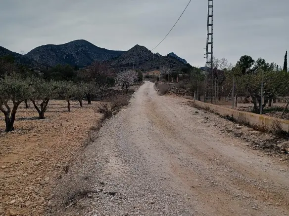 Land In La Romana, Spain (7.530 M² Plot)