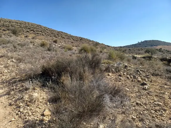 Land In Pinoso, Spain (27.000 M² Plot)