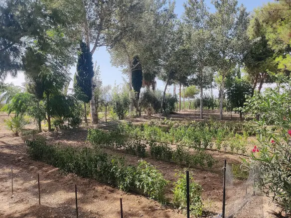 3-bedroom Country House In Crevillente, Spain (250 M²)