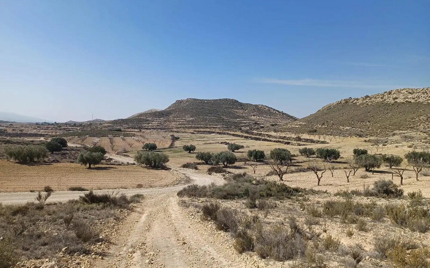 Land In Pinoso, Spain (27.000 M² Plot)